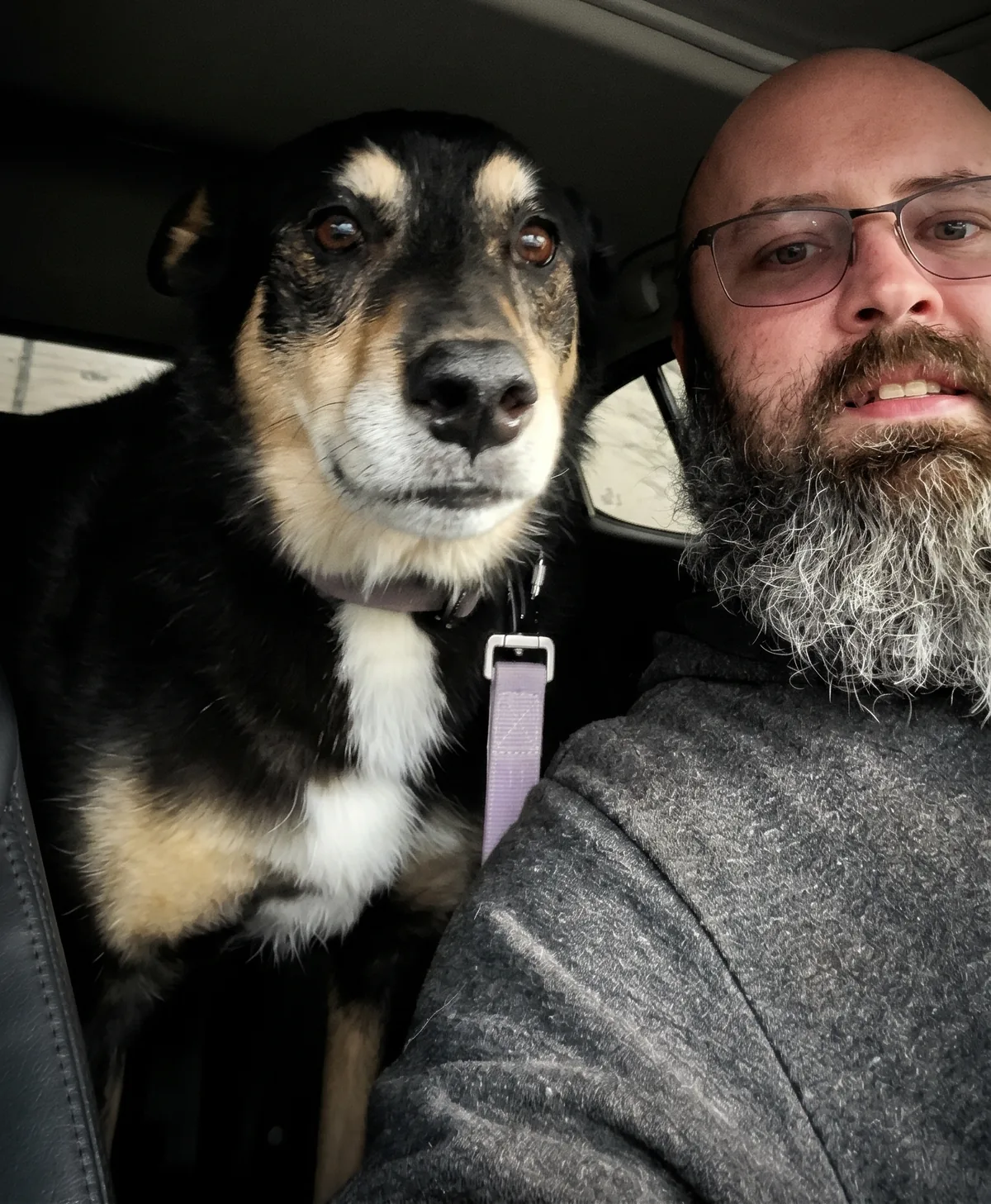 Tim in a car with Jinx, a black and tan dog with a white chest and a lavender leash, sitting beside him.